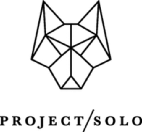 PROJECT/SOLO Logo (WIPO, 01.02.2016)