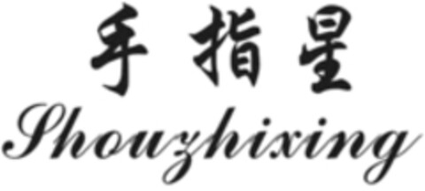 Shouzhixing Logo (WIPO, 18.02.2019)