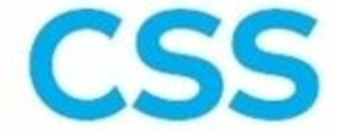 CSS Logo (WIPO, 16.09.2020)