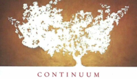 CONTINUUM Logo (WIPO, 05/07/2013)