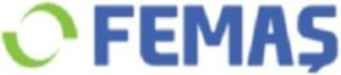 FEMAS Logo (WIPO, 03.06.2015)