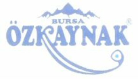 ÖZKAYNAK BURSA Logo (WIPO, 13.07.2005)