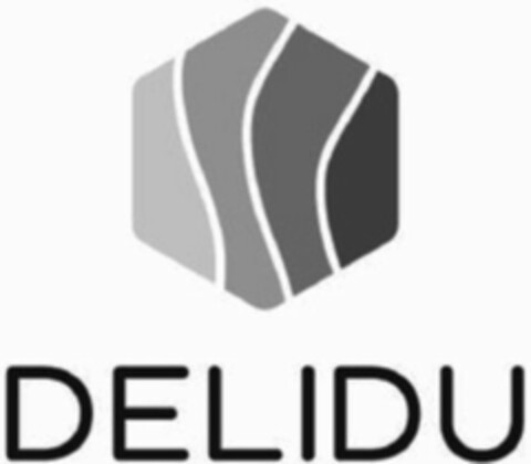 DELIDU Logo (WIPO, 27.12.2016)