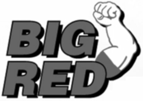 BIG RED Logo (WIPO, 03/31/2010)