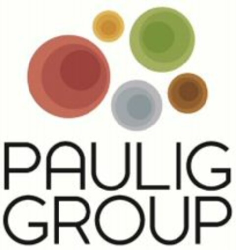 PAULIG GROUP Logo (WIPO, 01/18/2012)