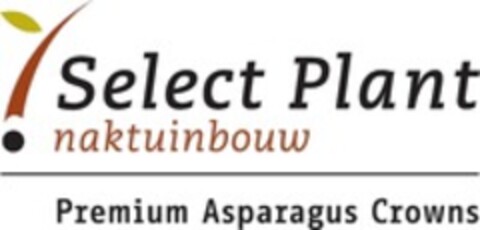 Select Plant naktuinbouw Premium Asparagus Crowns Logo (WIPO, 31.05.2022)