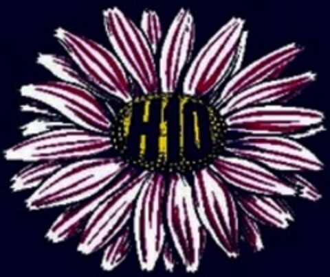 H10 Logo (WIPO, 18.04.2017)