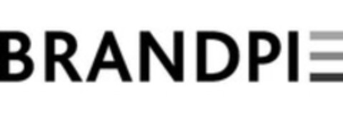 BRANDPIE Logo (WIPO, 25.01.2013)