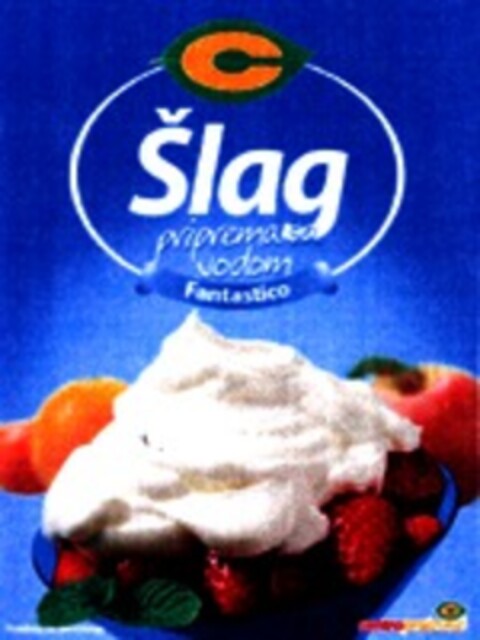 Slag Logo (WIPO, 27.02.2008)