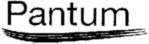 Pantum Logo (WIPO, 29.06.2010)