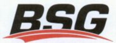 BSG Logo (WIPO, 09/08/2010)