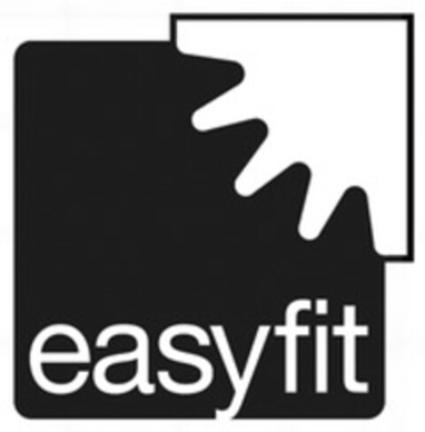 easyfit Logo (WIPO, 10.12.2009)