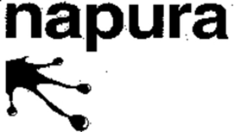 napura Logo (WIPO, 03/03/2010)