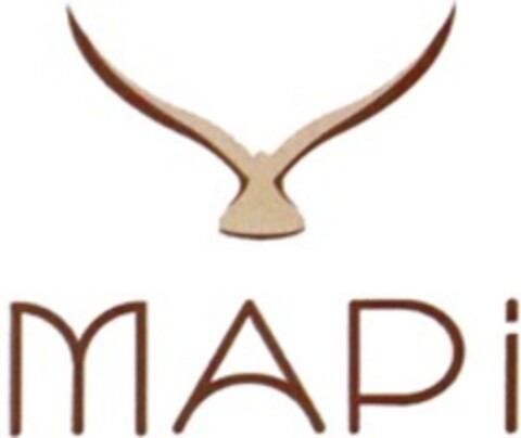 MAPi Logo (WIPO, 31.12.2009)