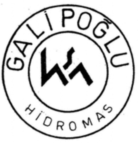 GALIPOGLU HIDROMAS Logo (WIPO, 06/06/2017)