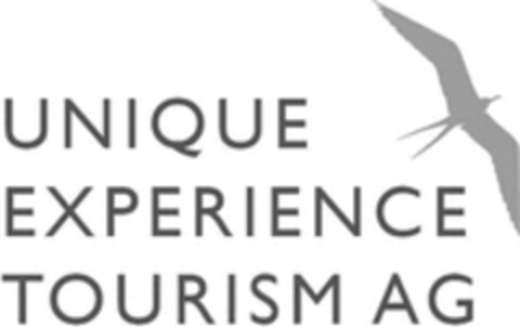 UNIQUE EXPERIENCE TOURISM AG Logo (WIPO, 10/07/2020)