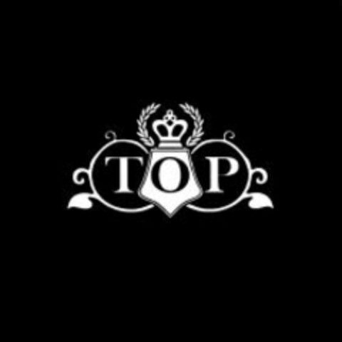 TOP Logo (WIPO, 15.11.2010)