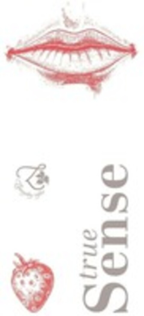 true Sense Logo (WIPO, 25.10.2022)