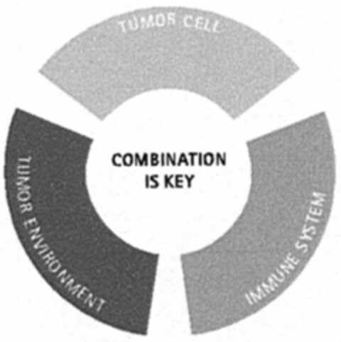 COMBINATION IS KEY Logo (WIPO, 01/23/2008)