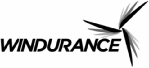 WINDURANCE Logo (WIPO, 30.08.2010)