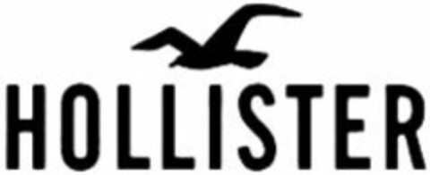 HOLLISTER Logo (WIPO, 17.05.2013)