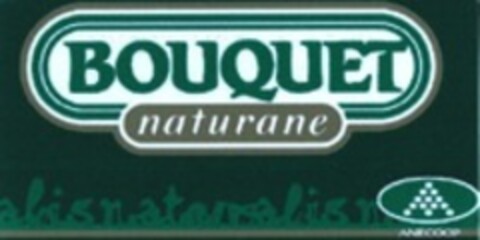 BOUQUET naturane Logo (WIPO, 01.12.2008)