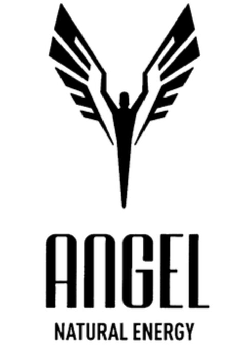 ANGEL NATURAL ENERGY Logo (WIPO, 17.04.2007)