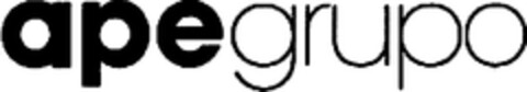apegrupo Logo (WIPO, 10.08.2017)