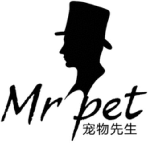 Mr pet Logo (WIPO, 20.09.2022)