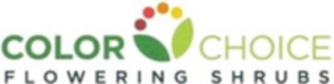 COLOR CHOICE FLOWERING SHRUBS Logo (WIPO, 10.02.2020)