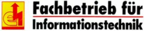 Fachbetrieb für Informationstechnik Logo (WIPO, 08.01.1999)