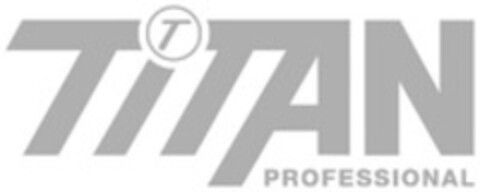TITAN PROFESSIONAL Logo (WIPO, 11.01.2013)