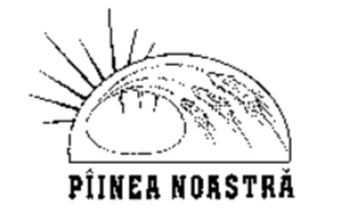 PÎINEA NOASTRA Logo (WIPO, 06/17/2008)