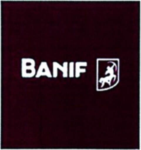 BANIF Logo (WIPO, 03/17/2008)