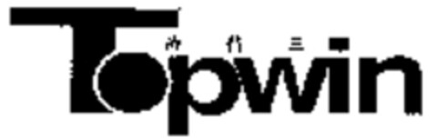 Topwin Logo (WIPO, 09/22/2009)