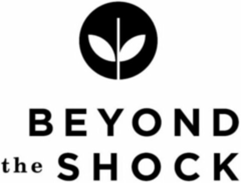 BEYOND the SHOCK Logo (WIPO, 26.04.2011)