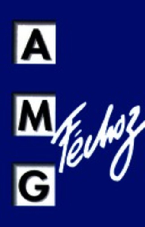 AMG Féchoz Logo (WIPO, 06.04.1999)