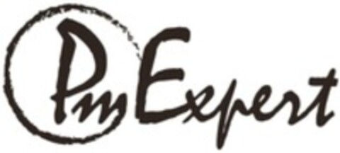 Pm Expert Logo (WIPO, 12.10.2017)