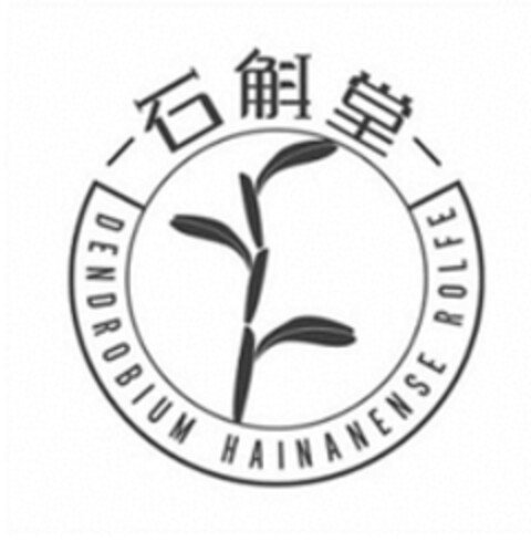 DENDROBIUM HAINANENSE ROLFE Logo (WIPO, 12/23/2021)