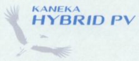 KANEKA HYBRID PV Logo (WIPO, 04/12/2010)