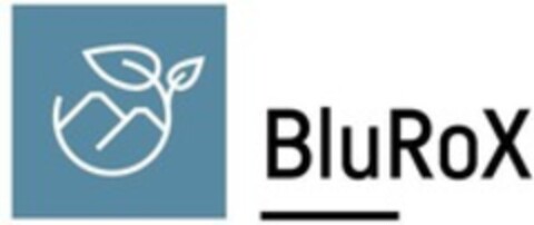 BluRoX Logo (WIPO, 06/27/2022)