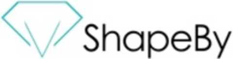 ShapeBy Logo (WIPO, 12/13/2019)