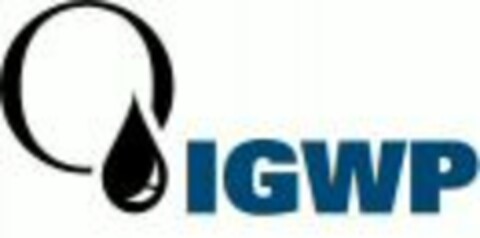 IGWP Logo (WIPO, 28.04.2009)