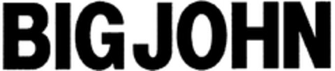 BIG JOHN Logo (WIPO, 07/16/2013)