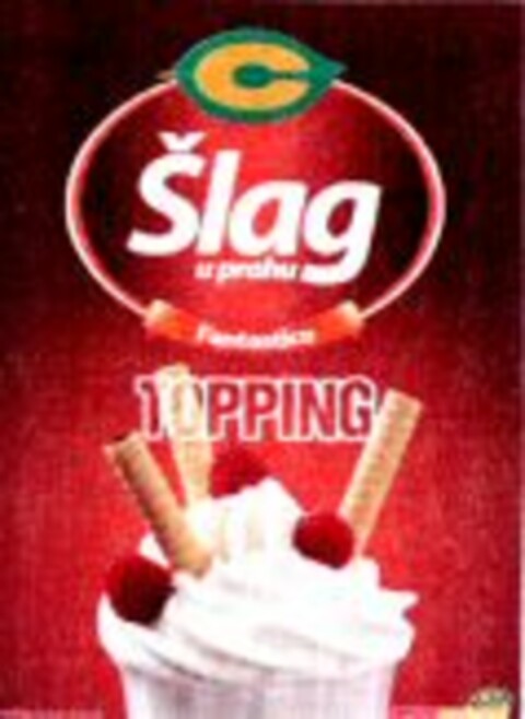 Slag TOPPING Logo (WIPO, 27.02.2008)