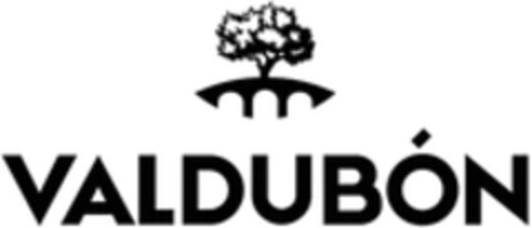 VALDUBÓN Logo (WIPO, 07.06.2022)