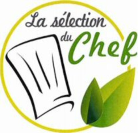 La sélection du Chef Logo (WIPO, 22.11.2011)