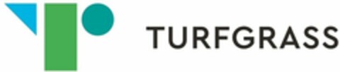 TURFGRASS Logo (WIPO, 26.02.2021)