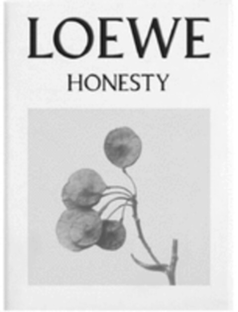 LOEWE HONESTY Logo (WIPO, 04/23/2020)