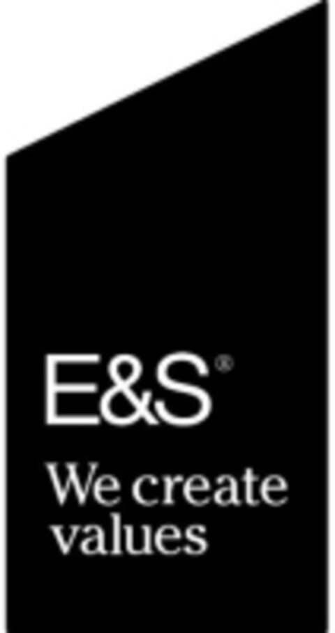 E&S We create values Logo (WIPO, 30.07.2013)